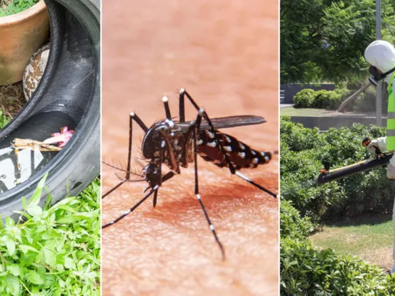 Lanzamiento de la Campaña contra el Dengue