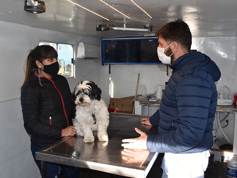 Nueva Jornada de Atención Primaria de las Mascotas