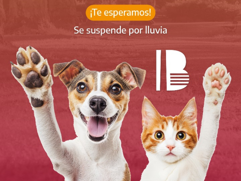 Atención Veterinaria en distintos puntos de la ciudad