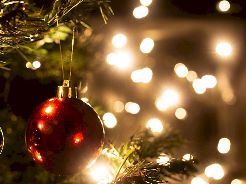 Encendido del Árbol Navideño