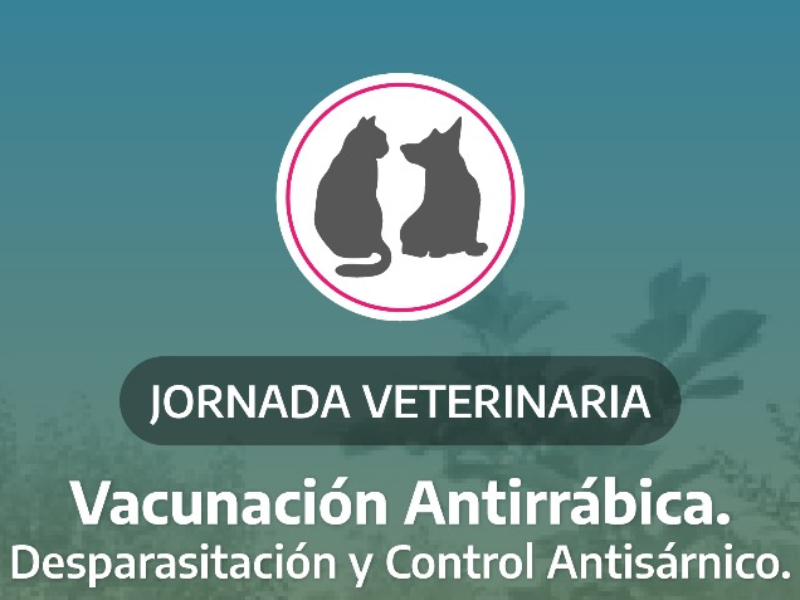 Jornada de atención Veterinaria en la cancha de Villa San Carlos