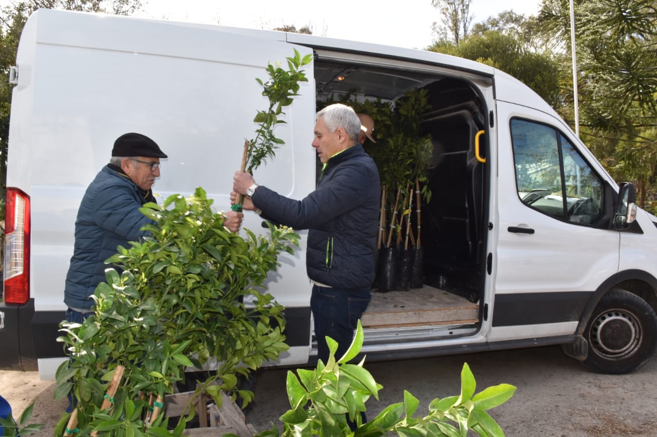 Entrega De Frutales A Productores Agroecológicos Municipalidad De Berisso