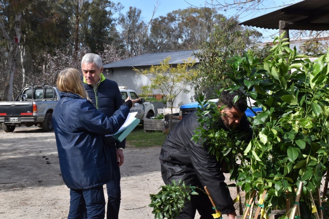 Entrega de frutales a productores agroecológicos