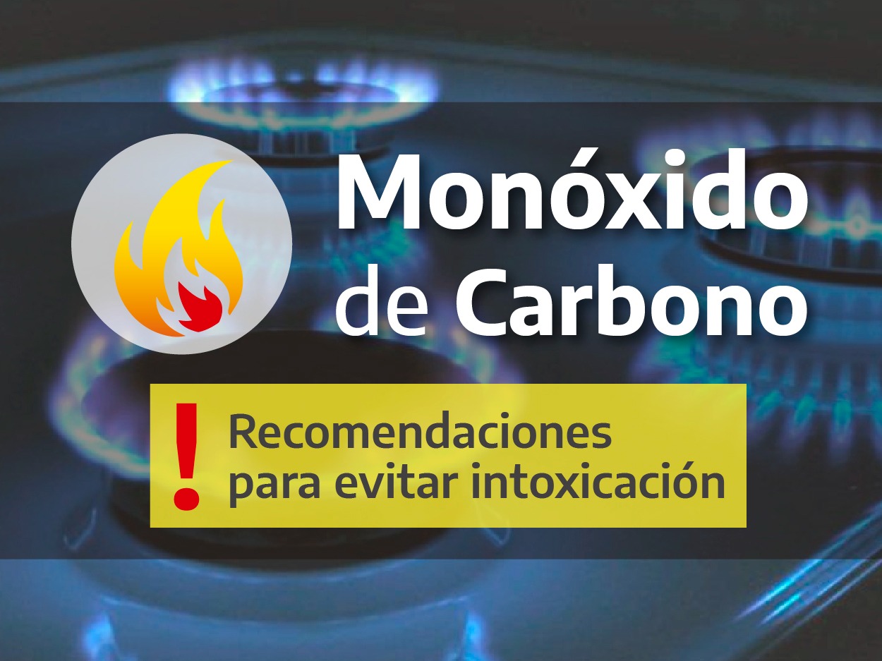 Recomendaciones Para Evitar Intoxicación Por Monóxido De Carbono Municipalidad De Berisso 6569