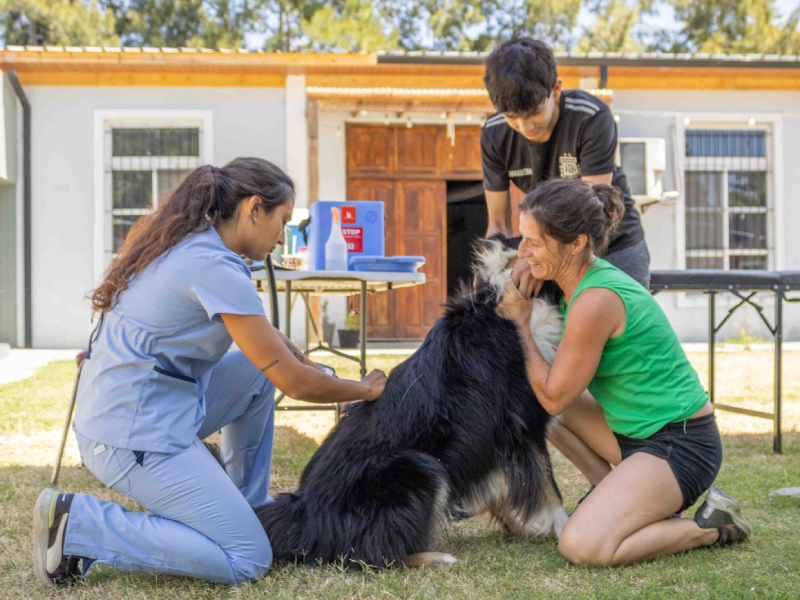 Jornada Veterinaria en los Consultorios Periféricos del barrio Los Talas
